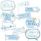 Big Dot of Happiness Funny One Silly Goose Blue Photo Booth Props Kit, Goose-Themed Puns for Boy 1st Birthday Supplies - 10 Count Selfie Prop Sticks